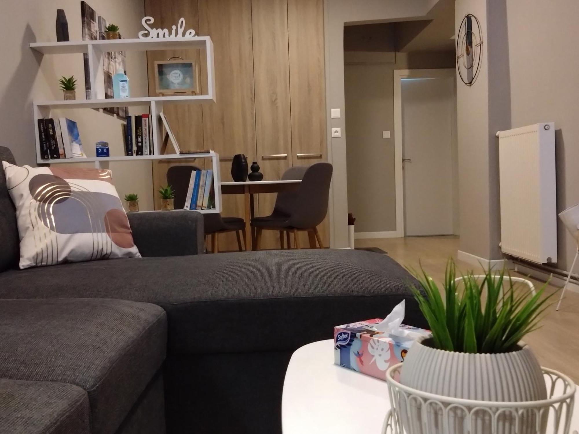 Axd Downtown Spacious Lux Apartment 亚历山德鲁波利斯 外观 照片